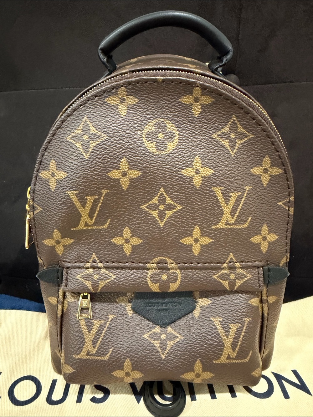 Louis Vuitton Palm Springs Mini Monogram - Picture 5 of 14